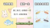 小学科学2.动物的繁殖教学演示课件ppt