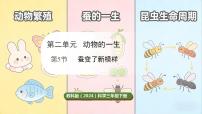 小学科学教科版（2024）三年级下册（2024）5.蚕变了新模样课文ppt课件