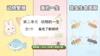 小学科学教科版（2024）三年级下册（2024）5.蚕变了新模样课文ppt课件