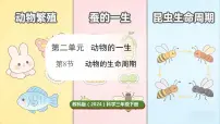 小学科学第二单元 动物的一生8.动物的生命周期课文配套课件ppt