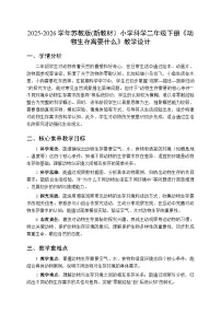小学科学苏教版（2024）二年级下册（2024）11 动物生存需要什么​教案设计