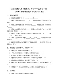 教科版（2024）三年级下册（2024）6.一天中影子的变化当堂达标检测题