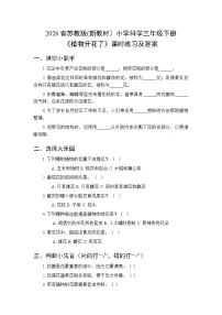 苏教版（2024）三年级下册（2024）7 植物开花了精练