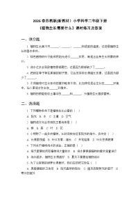 小学科学第4单元 共同家园​10 植物生长需要什么​同步达标检测题