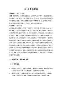 小学苏教版（2024）10 水里的植物教案