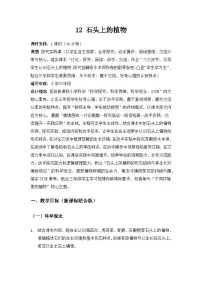 科学三年级下册（2024）12 石头上的植物教案