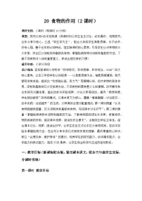 小学科学苏教版（2024）三年级下册（2024）20 食物的作用教案