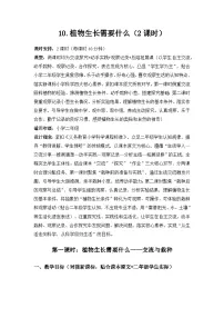 苏教版（2024）二年级下册（2024）第4单元 共同家园​10 植物生长需要什么​教学设计
