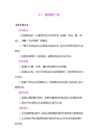 教科版（2024）三年级下册（2024）7.昆虫的一生表格教案设计