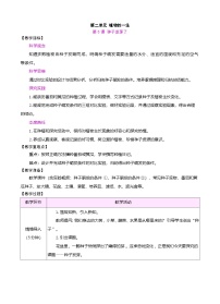 小学科学苏教版（2024）三年级下册（2024）5 种子发芽了表格教案