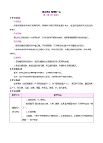 小学科学苏教版（2024）三年级下册（2024）5 种子发芽了表格教案