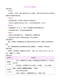 苏教版（2024）第3单元 不同环境里的植物12 石头上的植物表格教案