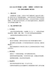 青岛版（五四学制）（2024）三年级下册（2024）18 导体与绝缘体​教学设计
