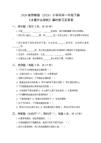 苏教版（2024）一年级下册（2024）水是什么样的课后复习题