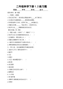 科学二年级下册（2024）2.挖掘恐龙“化石”课时练习