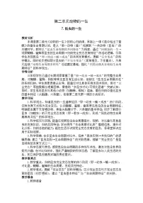 教科版（2024）三年级下册（2024）7.昆虫的一生教案