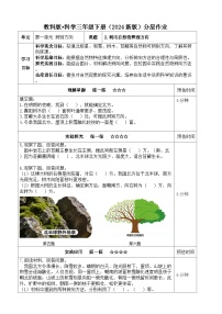 小学教科版（2024）2.利用自然物辨别方向练习