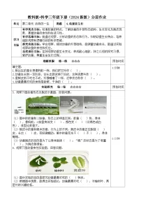 小学科学教科版（2024）三年级下册（2024）4.幼蚕在生长课后测评
