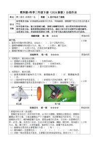 小学科学教科版（2024）三年级下册（2024）6.茧中钻出了蚕蛾课后测评