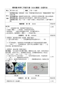 小学科学教科版（2024）三年级下册（2024）单元小结课后练习题