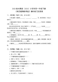小学科学大象版（2024）一年级下册（2024）2 常见植物的特征同步达标检测题