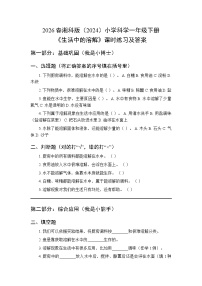 科学湘科版（2024）生活中的溶解同步达标检测题