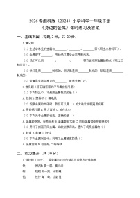 湘科版（2024）身边的金属综合训练题