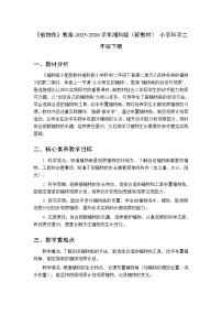 小学科学湘科版（2024）二年级下册（2024）5 植物角教案设计