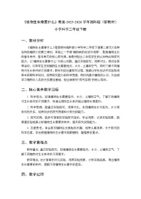 小学科学湘科版（2024）二年级下册（2024）6 植物生长需要什么教案