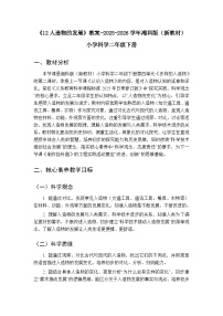 小学科学湘科版（2024）二年级下册（2024）12 人造物的发展教案设计