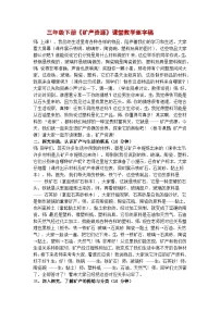 小学人教鄂教版（2024）11 矿产资源精品导学案