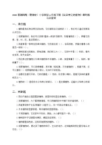 湘科版（2024）二年级下册（2024）4 认识常见的植物课后练习题