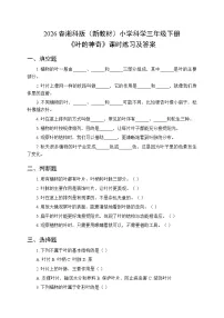 科学三年级下册（2024）10 叶的神奇巩固练习