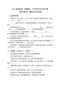 湘科版（2024）三年级下册（2024）11 种子萌发练习