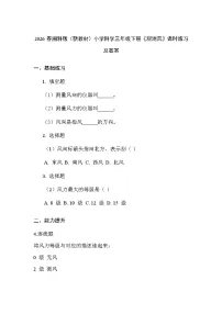 湘科版（2024）三年级下册（2024）18 观测风课后复习题
