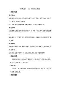 小学科学教科版（2024）五年级下册设计和制作生态瓶教案