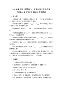 科学三年级下册（2024）4 植物的生长变化一课一练