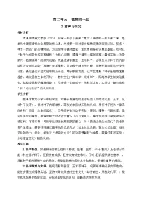 小学大象版（2024）2 播种与萌发教案