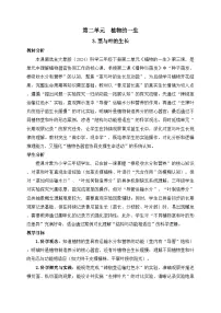 小学大象版（2024）3 茎与叶的生长教案设计