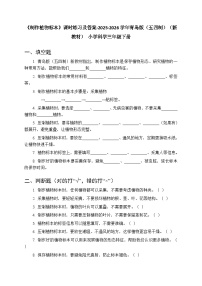 小学科学青岛版（五四学制）（2024）三年级下册（2024）11 制作植物标本​课时练习