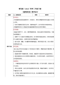 科学三年级下册（2024）第三单元 植物的“身体”​11 植物的茎​表格教学设计