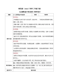 科学三年级下册（2024）9 去除粗盐中的杂质​表格教学设计及反思