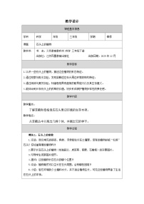 小学科学苏教版（2024）三年级下册（2024）第3单元 不同环境里的植物12 石头上的植物表格教案设计