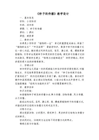 教科版（2024）四年级下册种子的传播教案