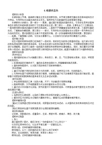 小学科学教科版（2024）三年级下册（2024）4.幼蚕在生长教案及反思