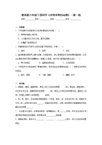小学科学教科版（2024）六年级下册校园生物大搜索优秀课时作业