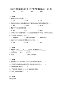 小学科学教科版（2024）四年级下册凤仙花开花了优秀巩固练习