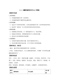 小学科学教科版（2024）二年级下册（2024）1.磁铁能吸引什么教案