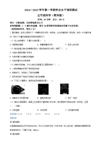 广东省深圳市光明区教科版五年级上册期末考试科学试卷（解析版）-A4