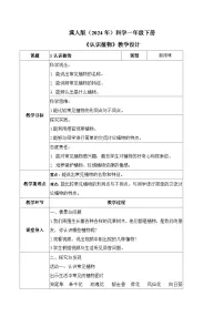 小学科学冀人版（2024）一年级下册（2024）认识植物教学设计